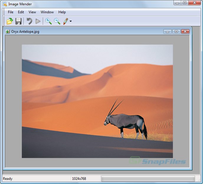 Image Mender
