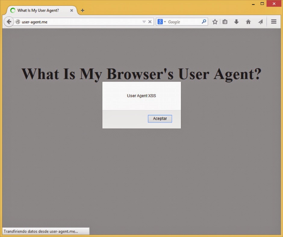 Datos XSS Tutorial Anonymous