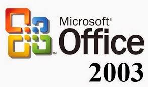 MS Office Professional 2003